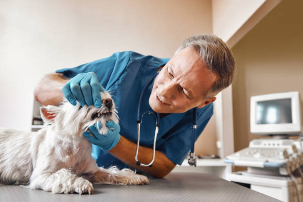 Best Emergency Broken Tooth Repair in Breckenridge, TX